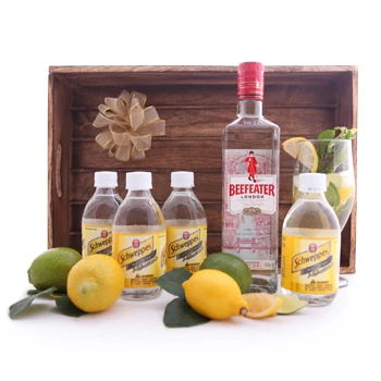 gin and tonic gift set 