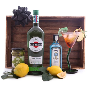 martini gift set