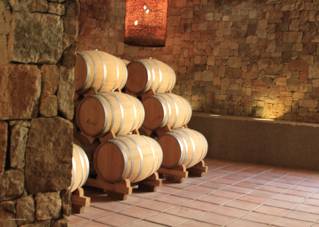 Pisco in Peru and Chile: Pisco Production
