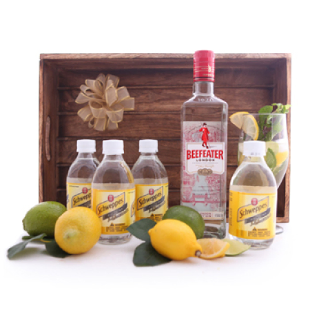 gin and tonic gift set 