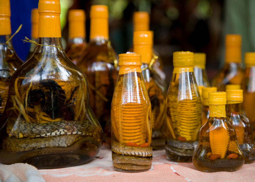 Strange but True: The World's Most Unusual Alcoholic Drinks